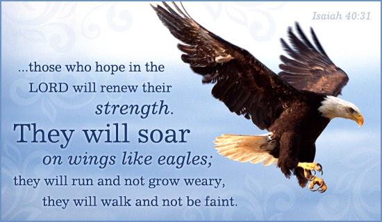 proverbs35trust's tweet image. But they who wait for the Lord shall renew their strength... -  Isaiah 40:31 #bibleverse #isaiah #hope