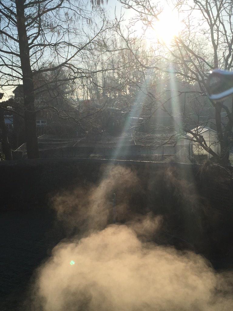 FORZABOSS's tweet image. Love the Sun killing the frost. Time for a hard game of squash for me. #Sunday #fitness #reflextest #hammertime