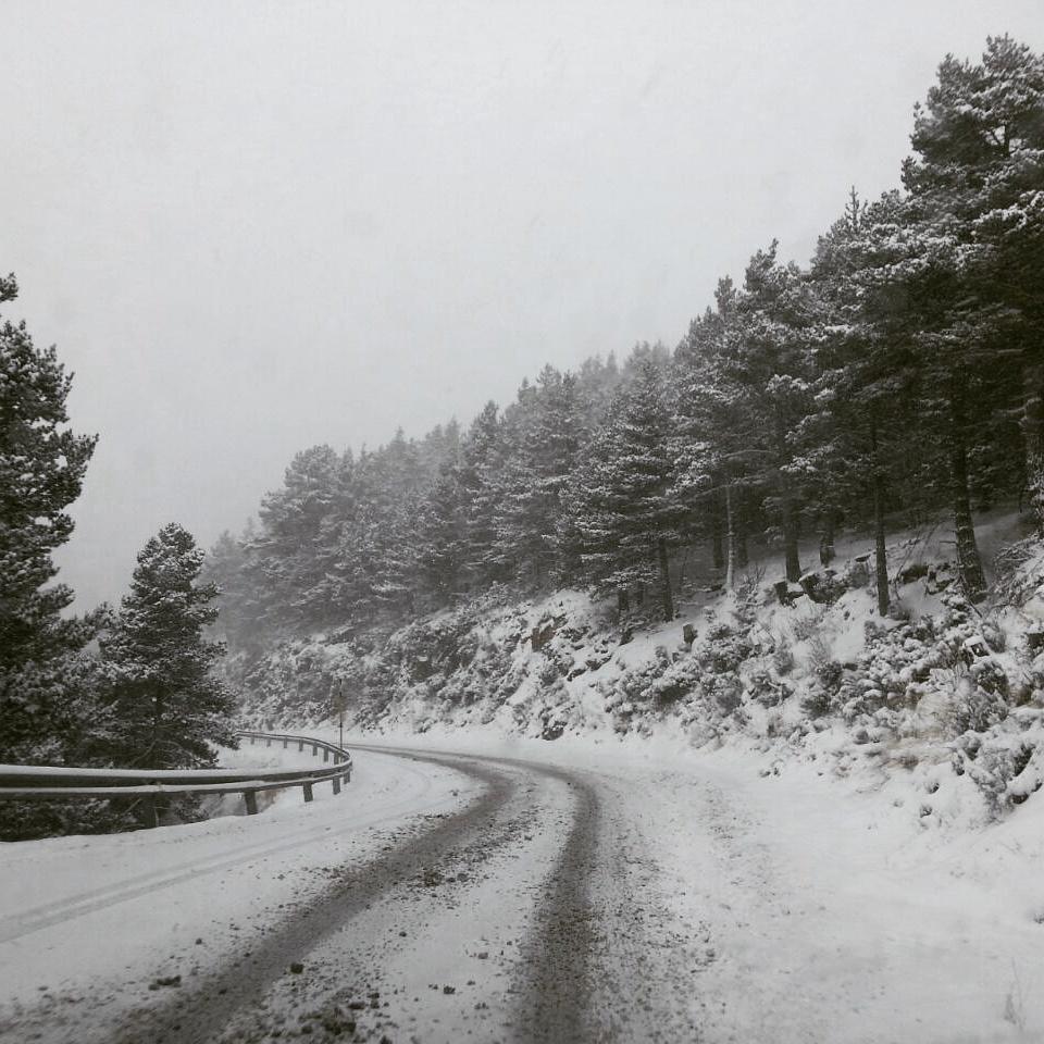 xevitorres's tweet photo. A dalt de la collada #Toses fort vent i nevada #N260 @tomasmolinab #eltransit @meteomauri @Monica_Usart #eltemps http://t.co/VHUkoPSxnl