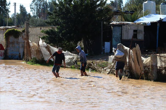 View image on Twitter