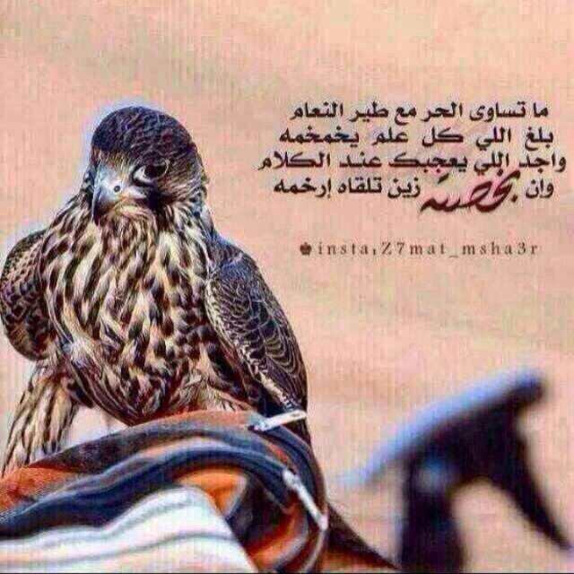 سعد مرزوق السبيعي... (@galaaxy2014s) on Twitter photo 