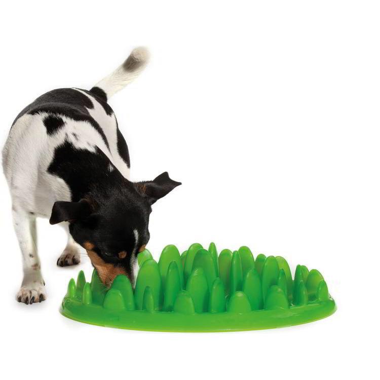 It's my "Thank You Followers" Twitter #contest Win <a href="/NORTHMATE/">NORTHMATE</a> interactive feeder. To enter, follow <a href="/kingofpaws/">Kingofpaws life</a> &amp; RT