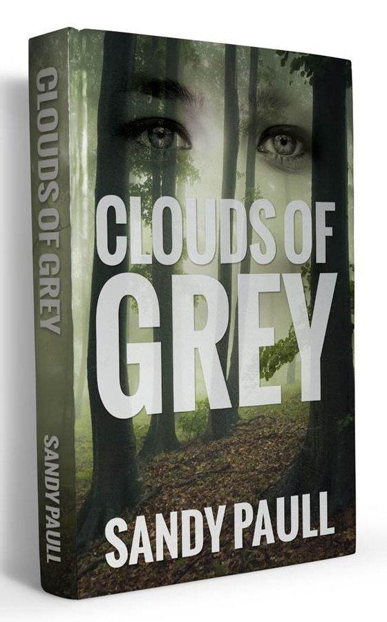 sandyjpaull's tweet photo. Thanks for so many responses about the signed print #booksales. Another carton of #cloudsofgrey needs to be ordered! http://t.co/V4ZSjupE8v