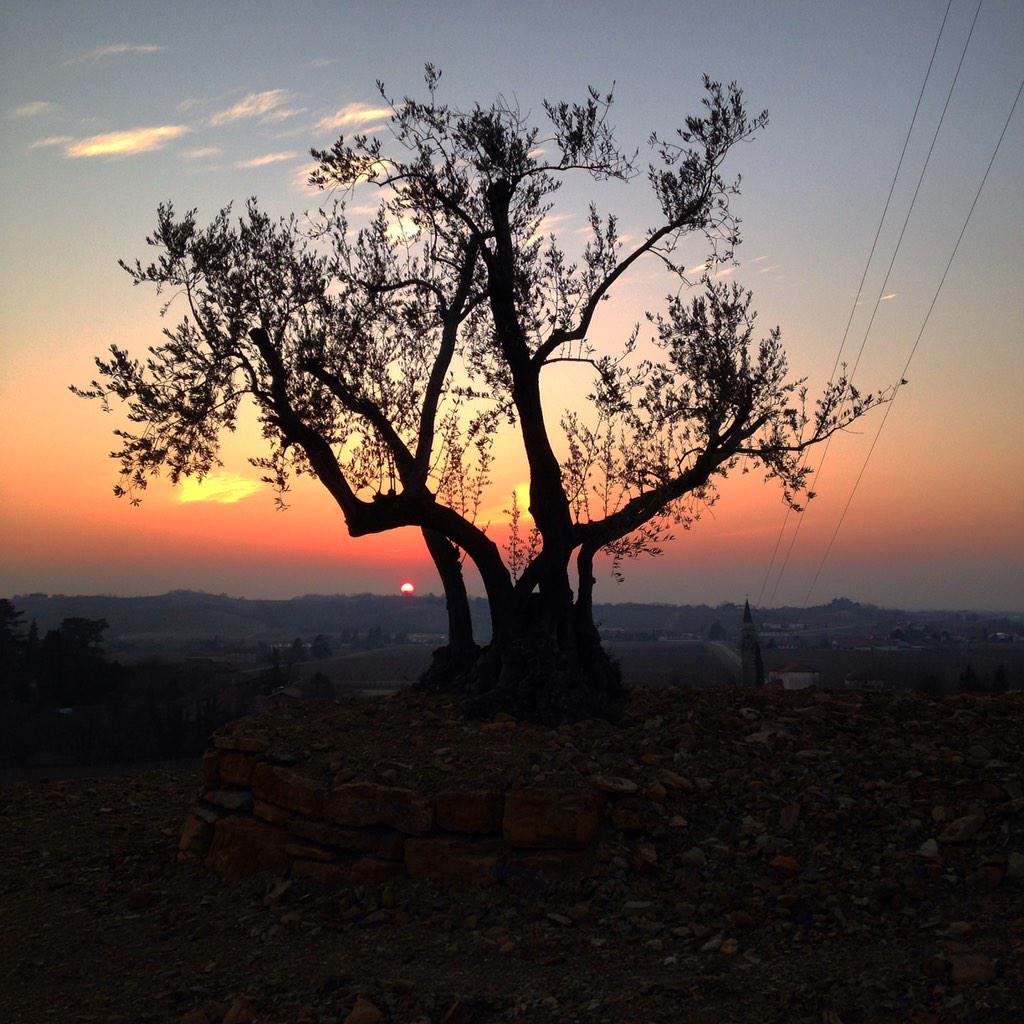 bertoli_96's tweet image. #Spessa #daysago