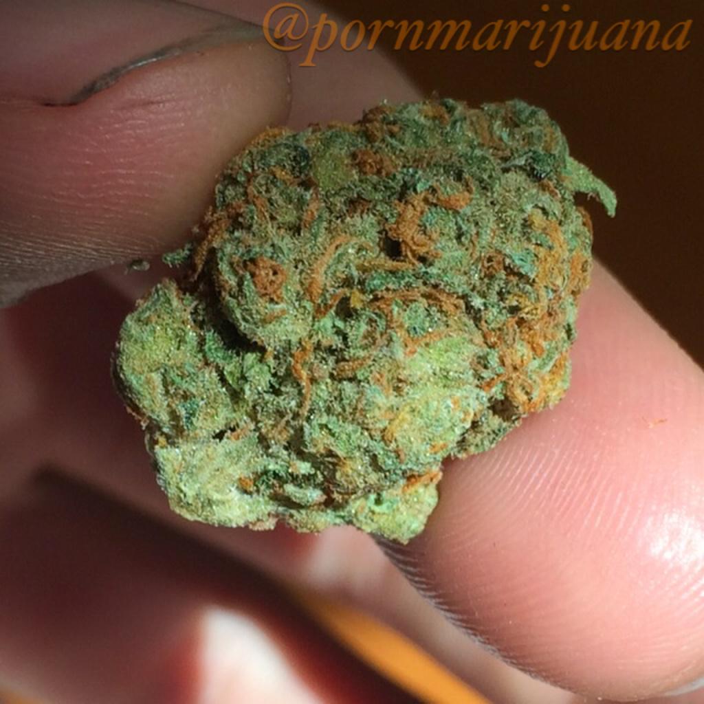 chartaddicts's tweet image. Nug of the NYC diesel