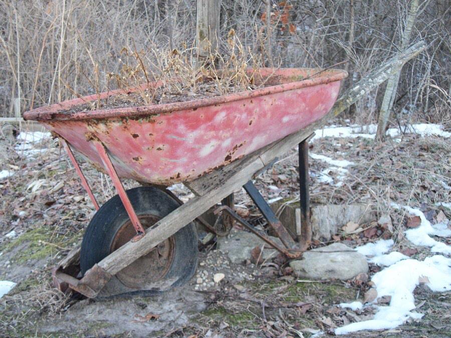 RWheelbarrel's tweet photo. Wheelbarrel pic of the day http://t.co/aCLQEQxX8H