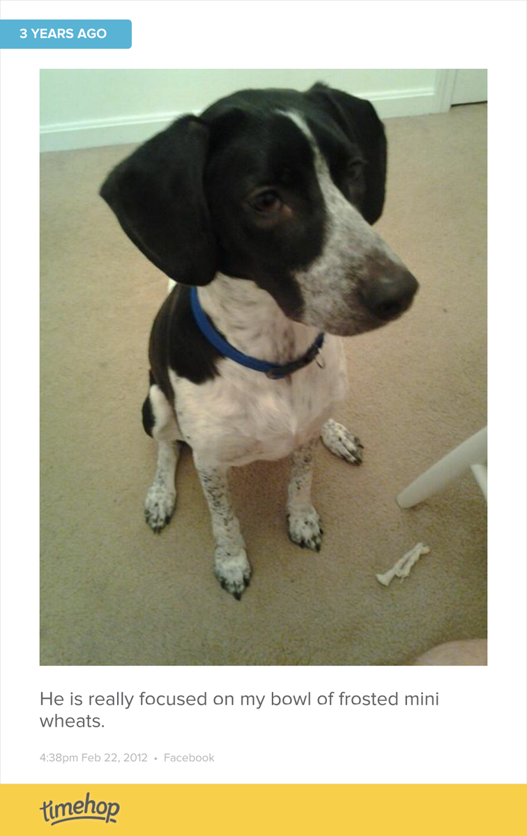 IamLockman's tweet photo. back when Charlie wasn't a tank http://t.co/yVThRqCWw4 http://t.co/2mqRpyazWf
