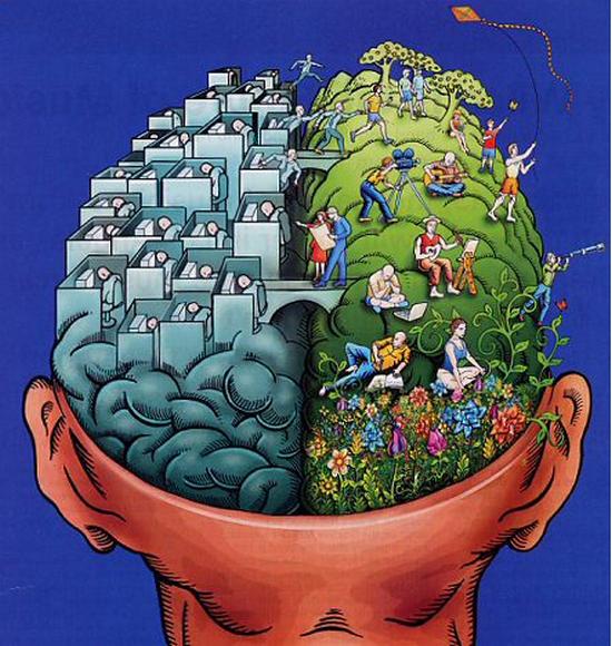 Here's everything you need to know about your students' brain to teach them effectively: goo.gl/uENoAV