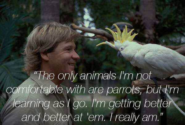 Happy birthday Steve Irwin 