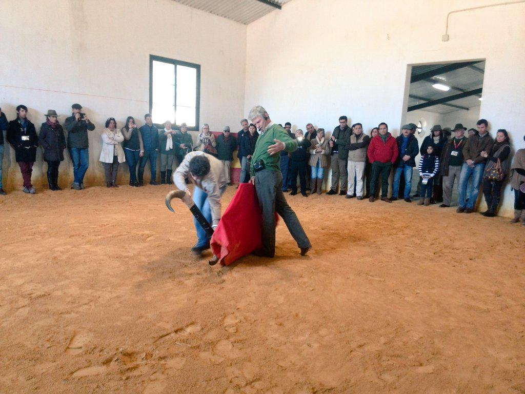 Elena_Salamanca's tweet photo. Primera vez que coge los trastos tras la decisión de #Sevilla.Un privilegio. #Espartaco en @reservatauro #bienalronda http://t.co/PwIN0xZKPe