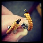 Photo by Casters Fly Shop (@CastersFlyShop)