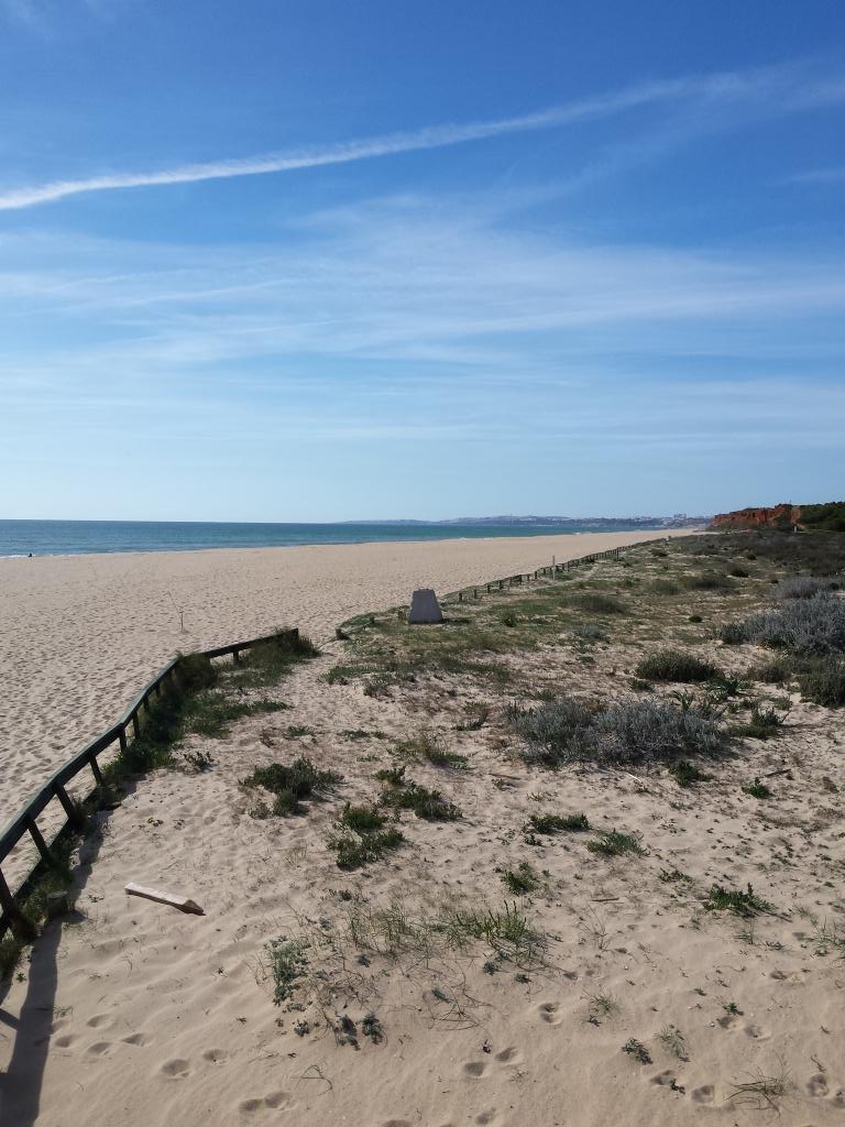 wallric's tweet photo. Lifes a beach ! http://t.co/OrVcxvJ4Pe