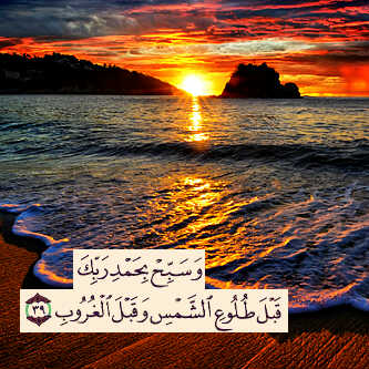 amml451 tweet picture
