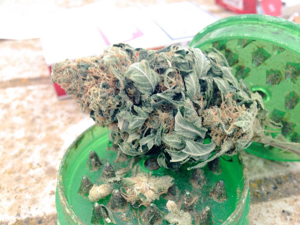 OneLoveWeed12's tweet photo. Buenaas tardees🙋🙋😁👏 http://t.co/W2CcSaOW5C