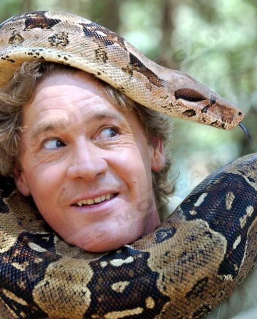 Happy birthday Steve Irwin 