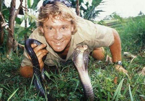 Happy birthday Steve Irwin!!       