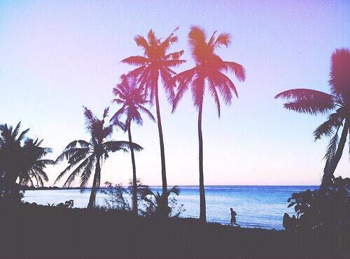 _shim2's tweet photo. I need to sit here 🌴☁ http://t.co/oCsDxHmDEh