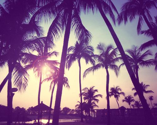 _shim2's tweet photo. I need to sit here 🌴☁ http://t.co/oCsDxHmDEh