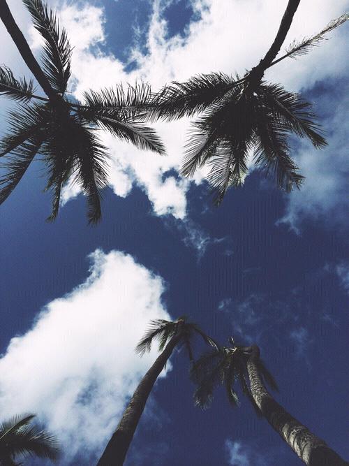 _shim2's tweet photo. I need to sit here 🌴☁ http://t.co/oCsDxHmDEh