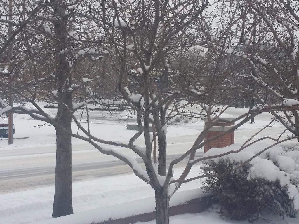 View image on Twitter View image on Twitter