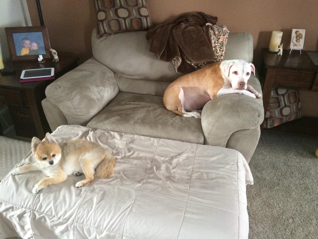 WrapCity518's tweet photo. Lazy Sunday....until the all nighter we have coming up at the mall tonight. http://t.co/BzCARpKQ6I