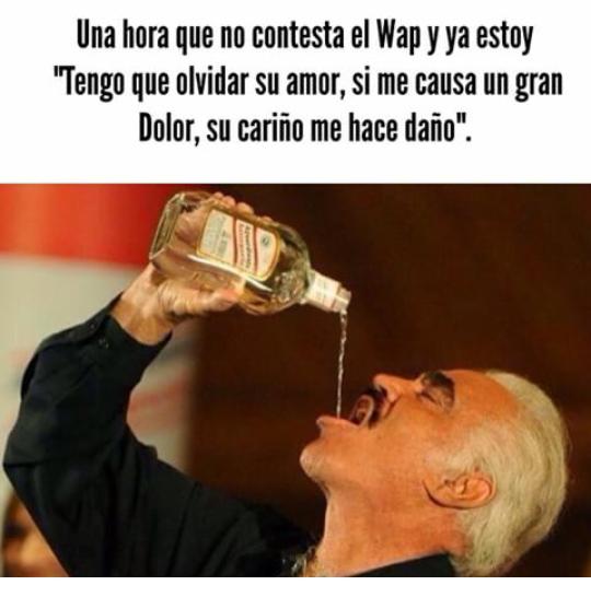 ANDES ESTEREO tweet media