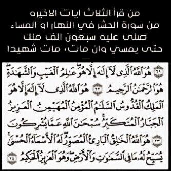 MZemmal's tweet photo. http://t.co/i2j5Y4JWRU