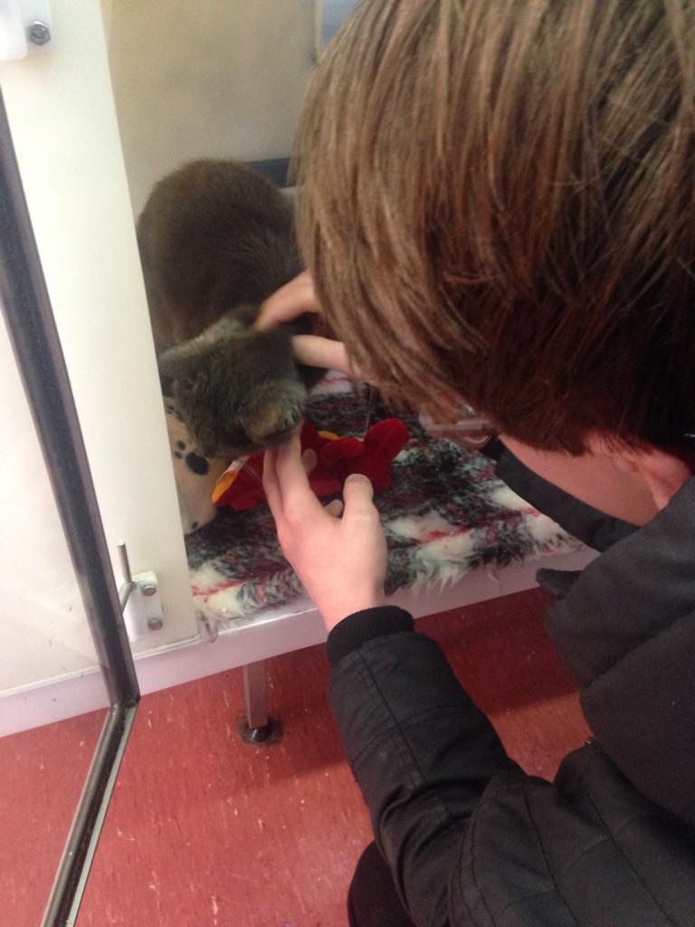 InfinitelyFalse's tweet image. Bae and I went to an animal shelter today and made some friends 😻@SexyToasters