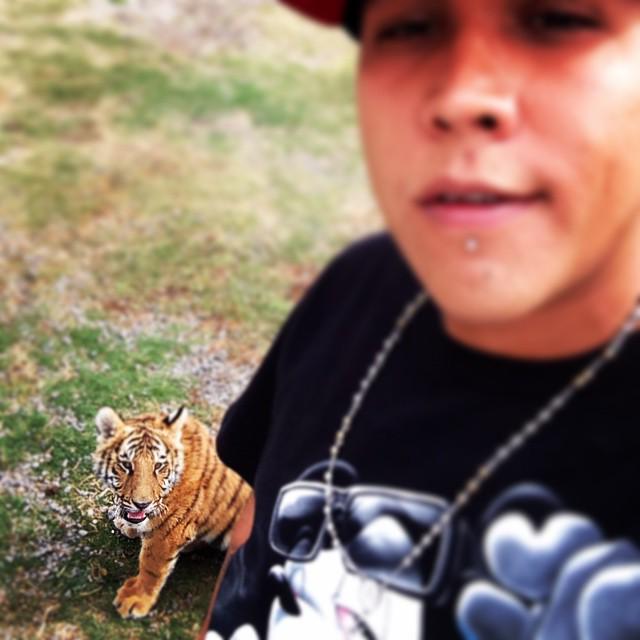 DonC98's tweet photo. MIREN NOMAS TREMENDO ANIMAL :P 🐯 http://t.co/R00jFDELPA