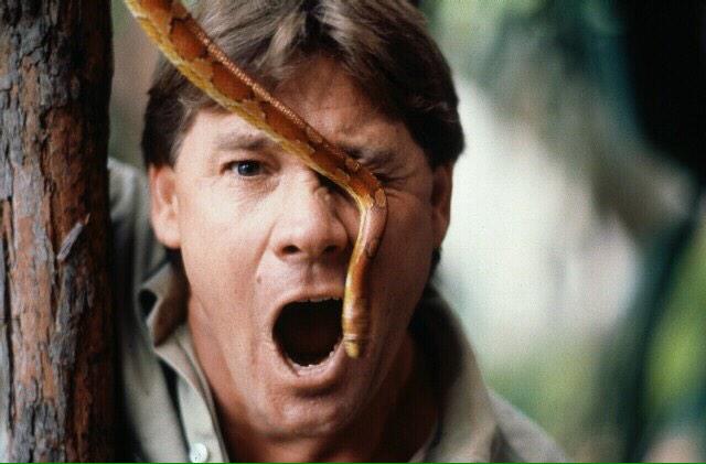 Happy birthday to my childhood hero, Steve Irwin. I\ll always love you for teaching me to love all wildlife  