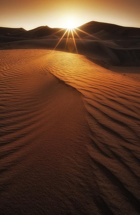 Visual_Feed_img's tweet photo. ✨Creativity Light ✨

 Jleading Light …

By: Mohamed Al Jaber
#طبيعة #غرد_بصورة #light #photo #landscabe #nature #صورة http://t.co/f7KpHnUxQq