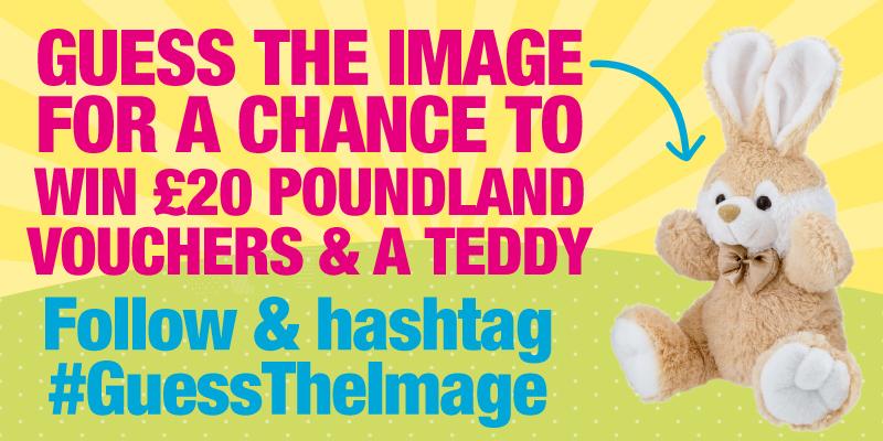 poundland bunny teddy