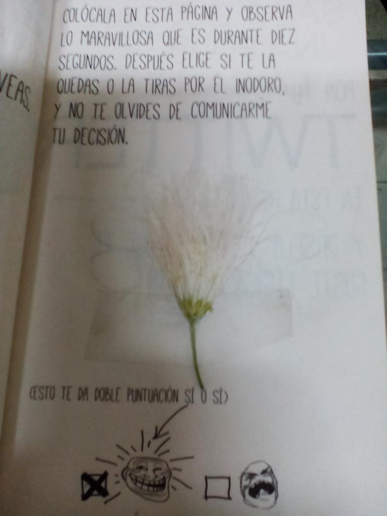 osanitas11's tweet photo. @Rubiu5 me quise quedar con la flor http://t.co/vdczmcyZTj