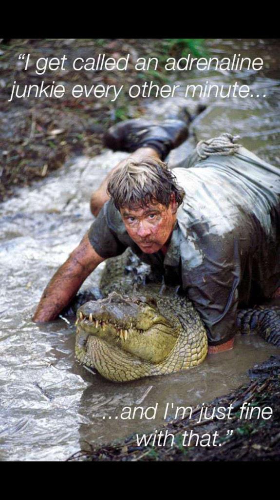 Happy birthday to the late Steve Irwin 