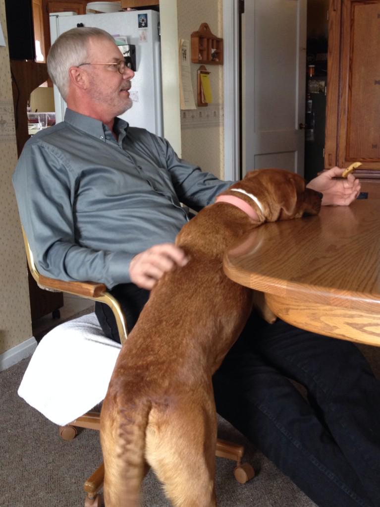 kmerle7's tweet photo. My dad is talking with hand motions and our dog follows the cookie as he moves his arms. #PureHumor http://t.co/p9NWaxTUH6