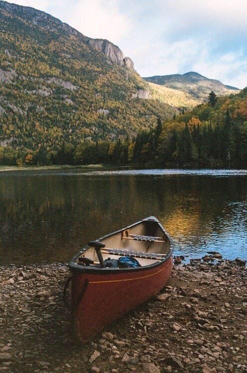 relaxvibes tweet picture