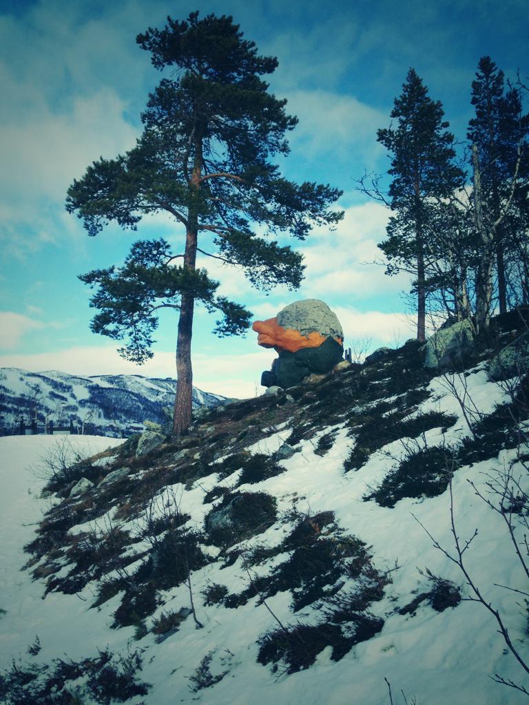TrollAdventure's tweet photo. Met a troll in the forest of Geilo this weekend. #country #Skiing #geilo #Norway #troll http://t.co/rdoa00i8hL