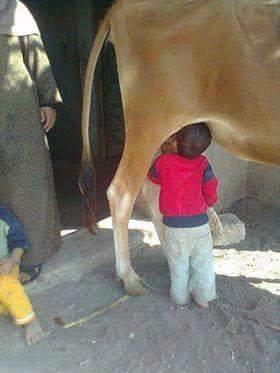 Miamin81's tweet photo. @Ahla_Jalseh @Tony_Baroud وينك يا ابو فاعور ههههههههه http://t.co/GAnE9RDF2w