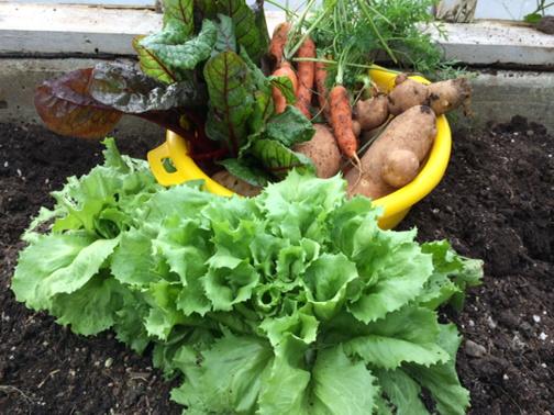 #winter bounty #penderisland