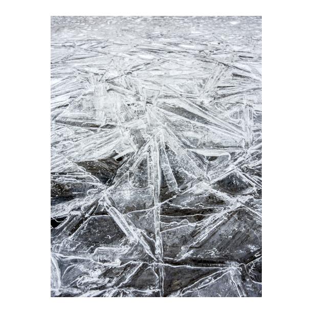 BrianMaslyar's tweet photo. Rowe Woods ice post 1. @cincy_nature #cincinnati http://t.co/8NQTnHJ7q8