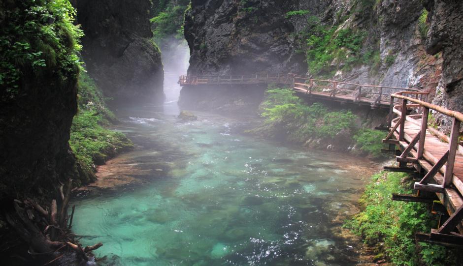 Sloveniansun's tweet photo. #Blejski Vintgar, The Vintgar #gorge near #Bled, #Slovenia Experience the most intact #nature of Slovenia. http://t.co/LReBmgnIst