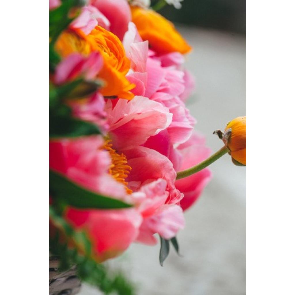 LesAmisFoto's tweet photo. Waiting for spring time @ilprofumodeifiori #bouequet #lesamisphoto #ilprofumodeifiori #itswinternow #iwantspring http://t.co/vk1F2w5uNJ