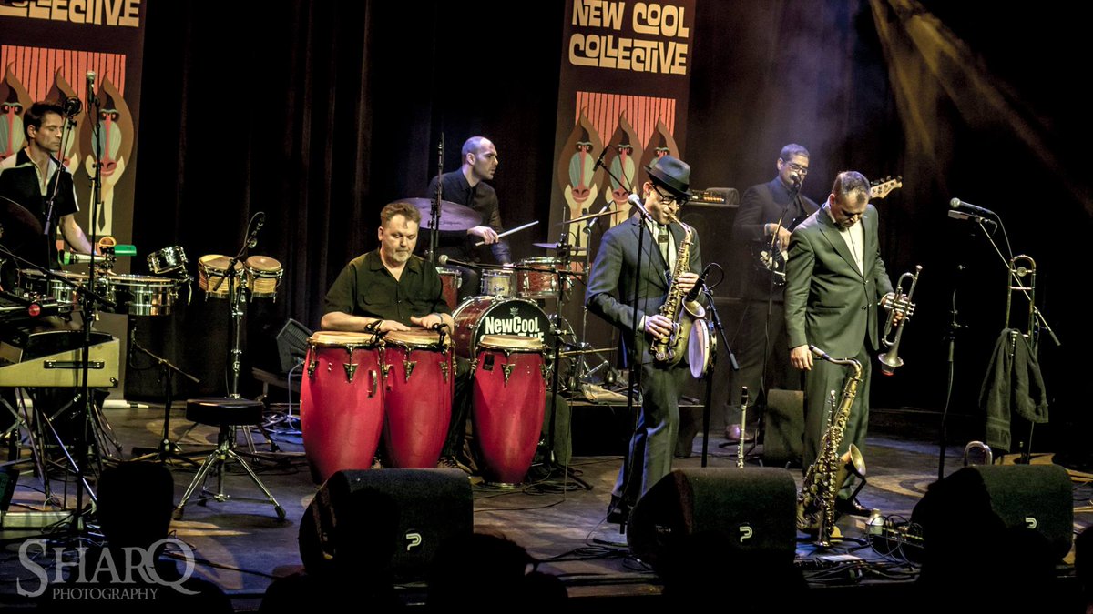 grenswerkvenlo's tweet photo. Ladies and gentlemen… #NewCoolCollective! Te gekke show! #grenswerk #zondag http://t.co/oURxNAMLp7