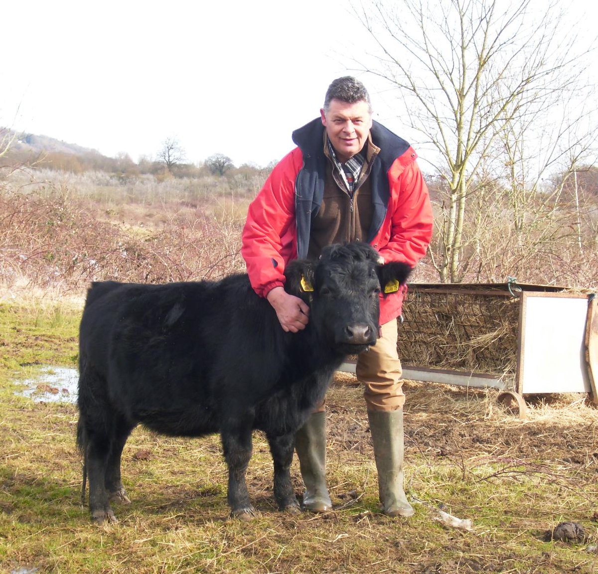 RuthDoyleWriter's tweet image. Another pic of little Guinness &amp;amp; @Ighthamlamb #dextercow