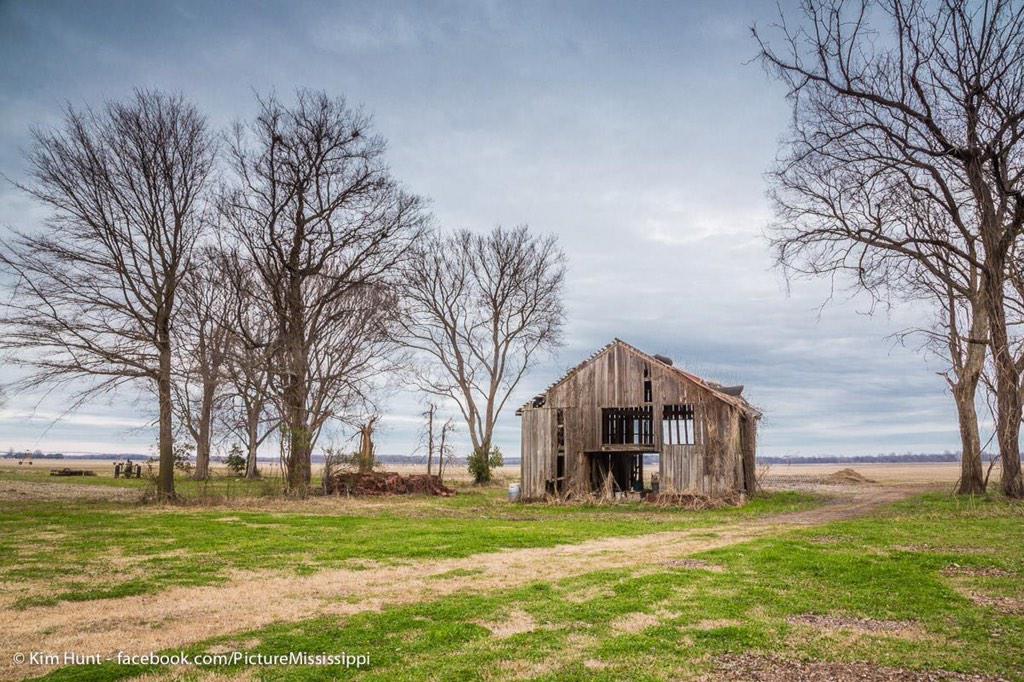 espoutdoors's tweet photo. Some great shots of our piece of the #MSDelta from Kim Hunt @picturemississippi http://t.co/JQHxx8bcxS