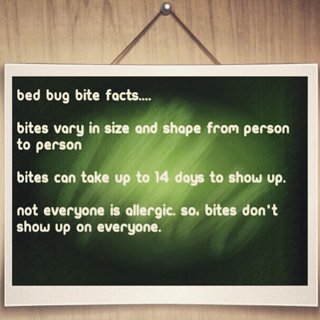 GotchABedBugs's tweet image. #BedBugTips #bedbug #bedbugsNY