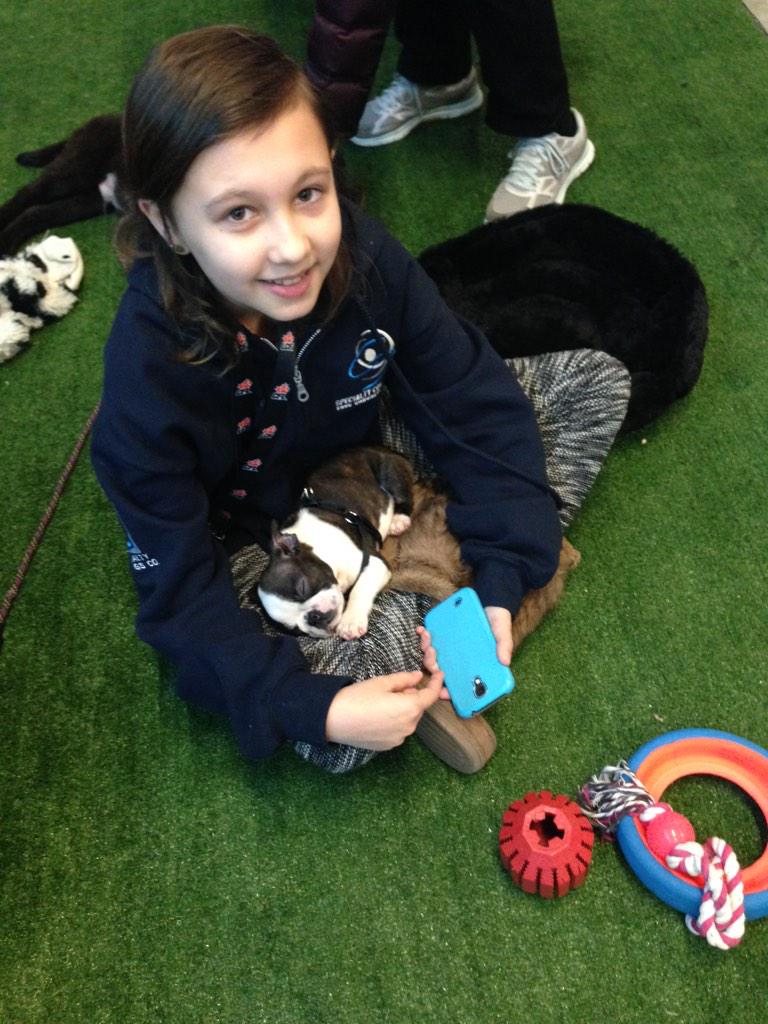 BC_SPCA's tweet photo. Bueller has a new best friend at the #Vancouver Home + Garden Show! #BCSPCA #millionacts #BCHGS15 #booth2195 http://t.co/W85Zfn68K7