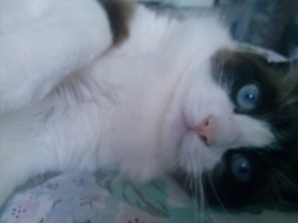 DMimi83's tweet image. 