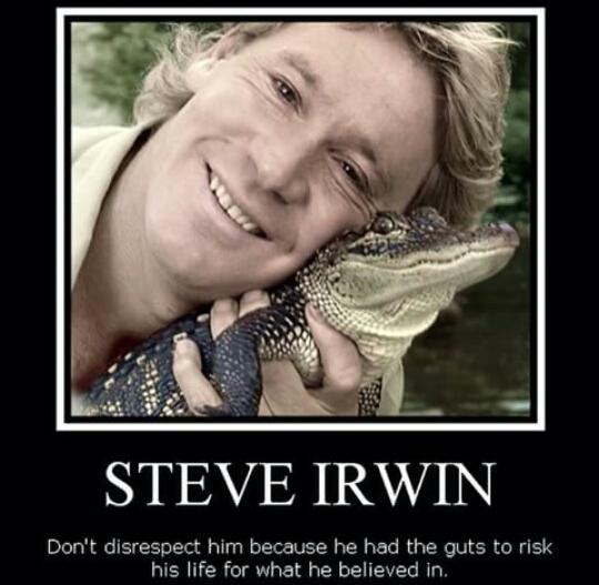 Happy 53rd Birthday Steve Irwin 