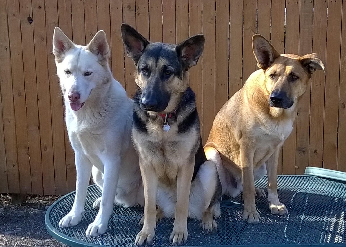 mickdev22's tweet image. What are they looking at